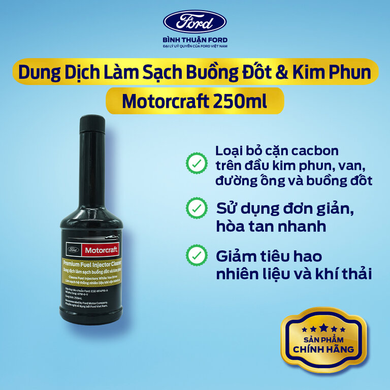 Dung Dịch Làm Sạch Buồng Đốt & Kim Phun - 250ml