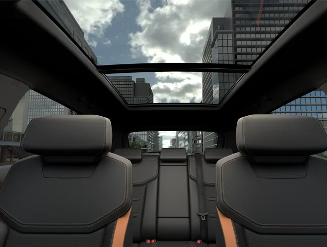 Cửa sổ trời toàn cành